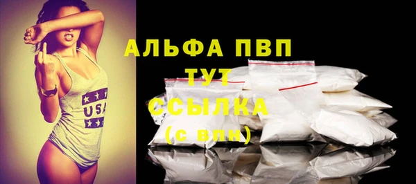 стафф Инта