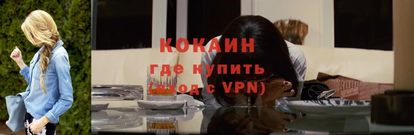 стафф Инта