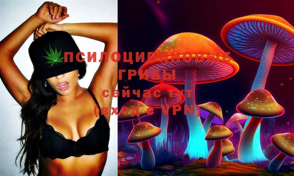 стафф Инта