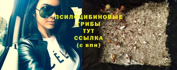 стафф Инта